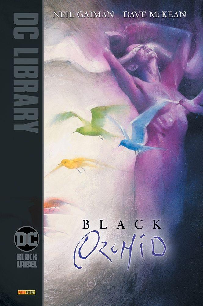 BLACK ORCHID