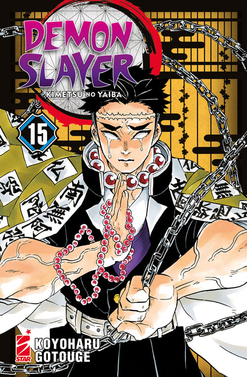 DEMON SLAYER - KIMETSU NO YAIBA n 15