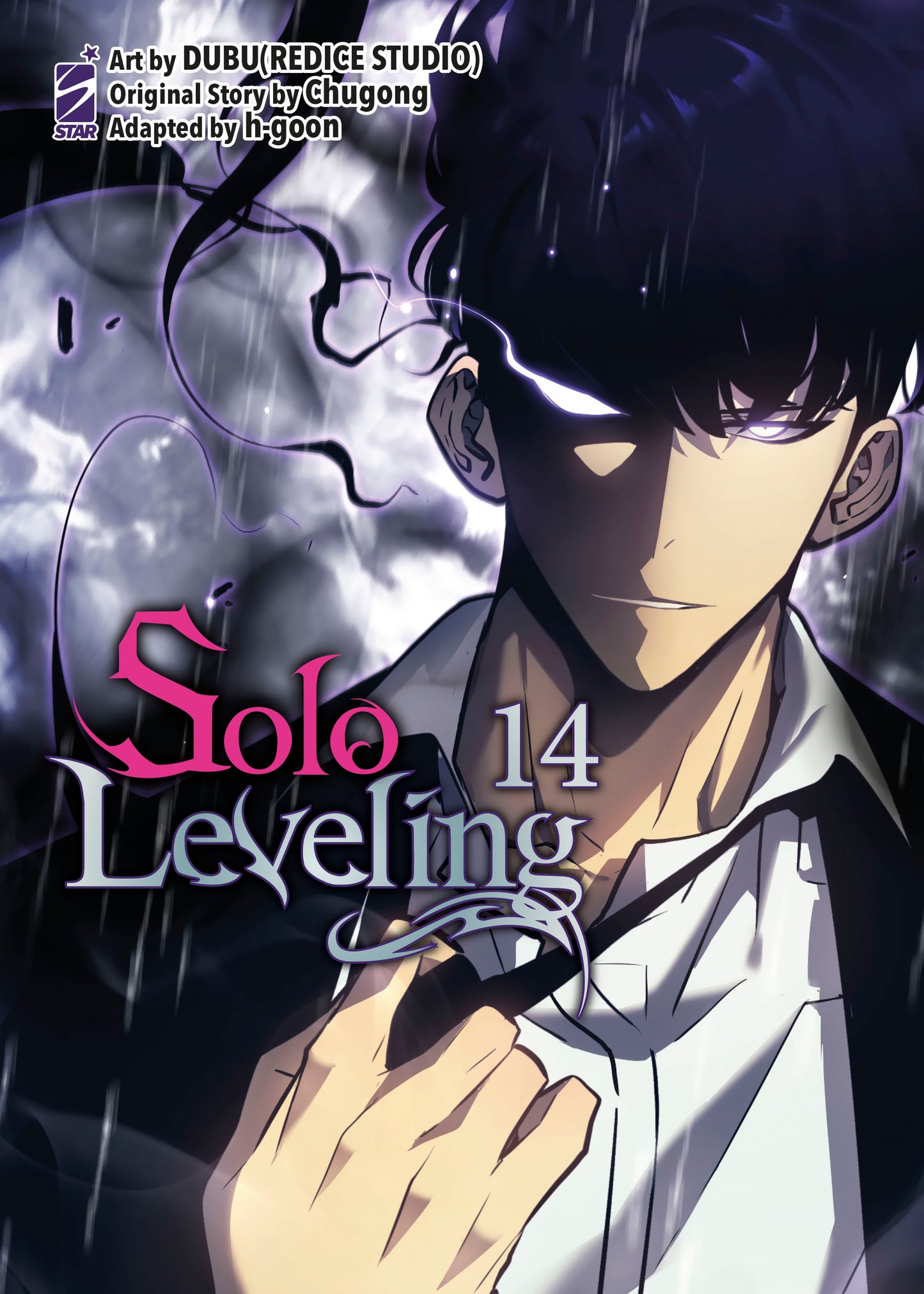 SOLO LEVELING n 14