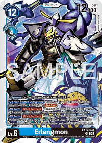 SR - EX12