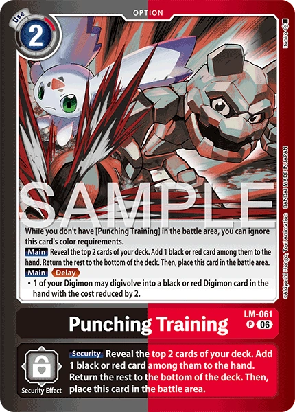 Punching Training LM-061 [ Inglese ]