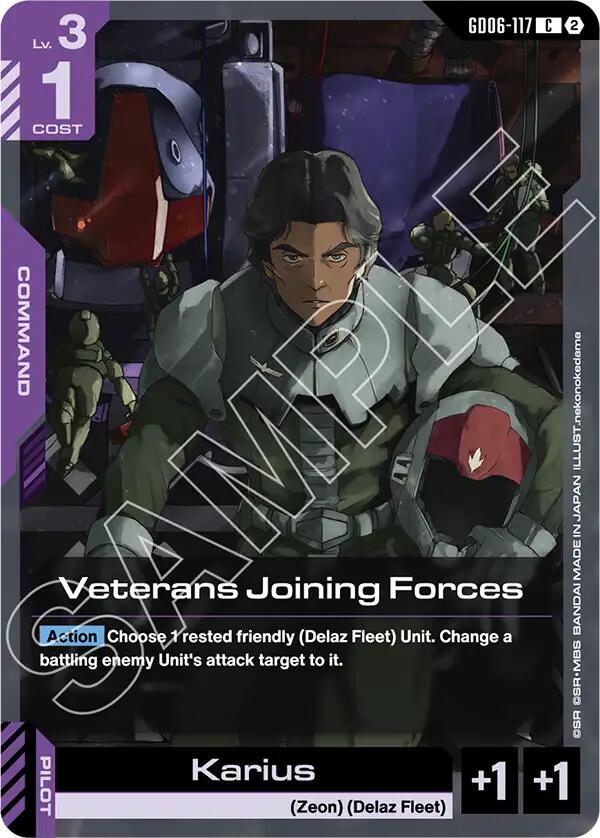 Veterans Joining Forces GD06-117