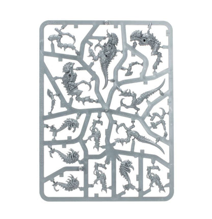 Warhammer 40 Tiranidi: Set Termagant e Sciame Sventratore + Colori - Termagants and Ripper Swarm + Paints