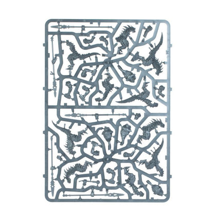 Spearhead: Seraphon - Warhammer Age of Sigmar