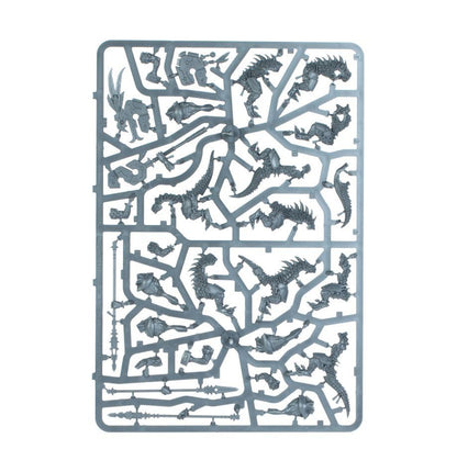 Spearhead: Seraphon - Warhammer Age of Sigmar