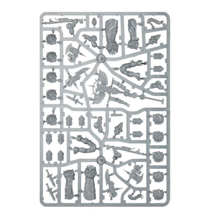 Warhammer 40K Custodian Wardens Sentinelle Custodi - 5 Miniature Adeptus Custodes (Inglese)