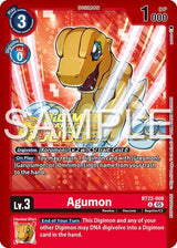 NM / Inglese / Judgepack 2025 WAVE 2