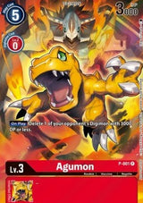 NM / Giapponese / P001 - P-001