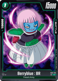 C - FB06