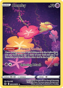 NM / Italiano / IR GG14/GG70 - Zenit Regale