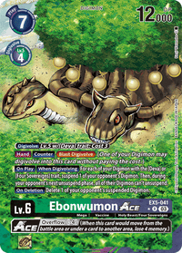 AA - Ex 05 Animal Colosseum - EX5