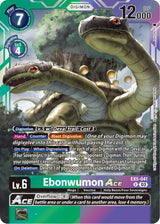 NM / Inglese / R - Ex 05 Animal Colosseum - EX5