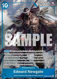 French 1 Stanniversarypack - French Promos #2