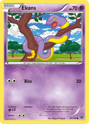NM / Italiano / C 047/146 - XY