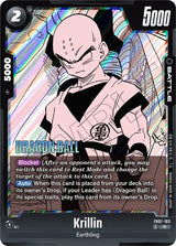 NM / Giapponese / R - FB07 #2