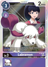 NM / Giapponese / Digimonsurviveanimeexpo 2022 - Promo - P