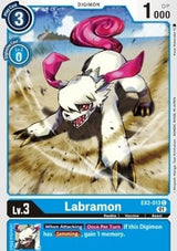 NM / Inglese / C - Ex 02 Digital Hazard - EX2