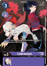 NM / Inglese / AA - Tamer Party Vol 7 Promo - P