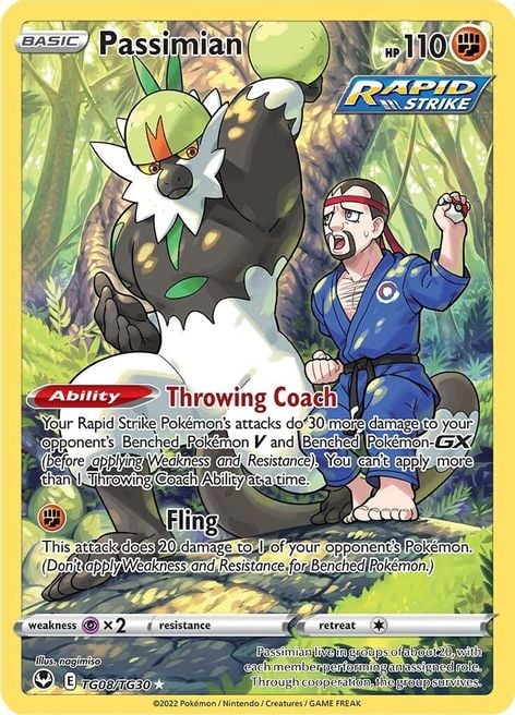 Passimian - Tempesta Argentata TG08/TG30 [ Italiano ]