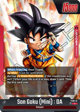NM / Giapponese / L - FS06