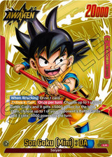 NM / Giapponese / P - FS06