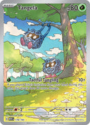 NM / Italiano / IR 178/165 - 151