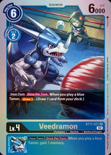 NM / Inglese / FOIL - Bt 11 Dimensional Phase - BT11